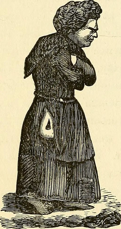 An illustration from Nature's revelations of character; or, physiognomy illustrated. A description of the mental, moral and volitive dispositions of mankind, as manifested in the human form and countenance, 1879, leaf 397