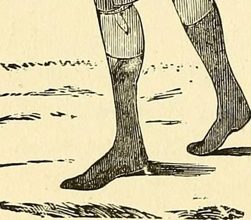 An illustration from Nature's revelations of character; or, physiognomy illustrated. A description of the mental, moral and volitive dispositions of mankind, as manifested in the human form and countenance, 1879, leaf 399