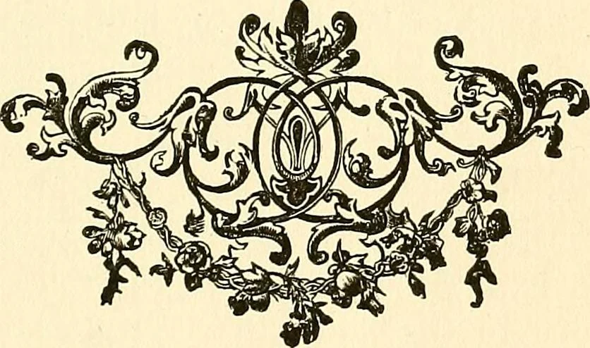 An illustration from Nature's revelations of character; or, physiognomy illustrated. A description of the mental, moral and volitive dispositions of mankind, as manifested in the human form and countenance, 1879, leaf 428