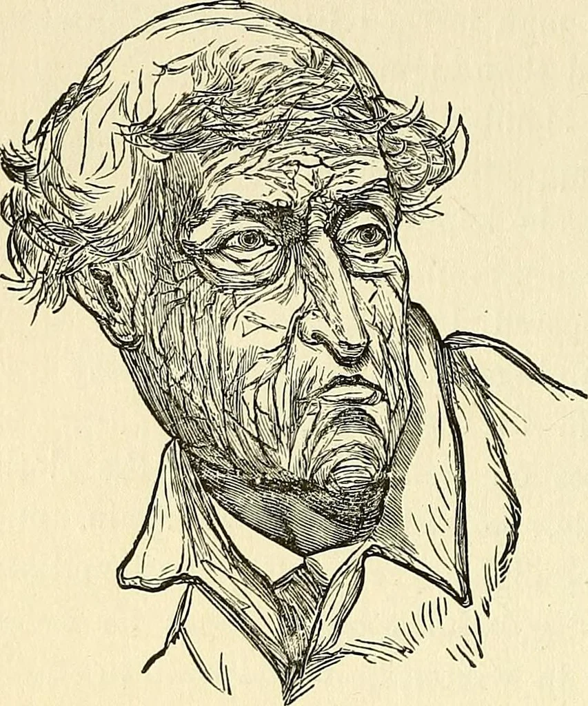 An illustration from Nature's revelations of character; or, physiognomy illustrated. A description of the mental, moral and volitive dispositions of mankind, as manifested in the human form and countenance, 1879, leaf 449