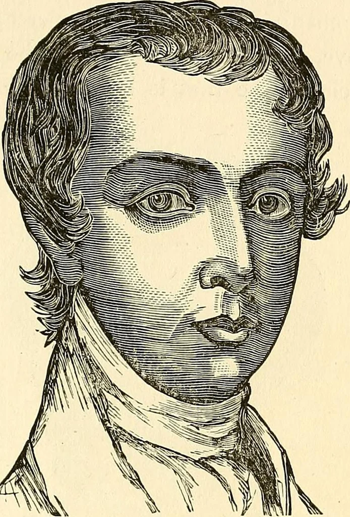 An illustration from Nature's revelations of character; or, physiognomy illustrated. A description of the mental, moral and volitive dispositions of mankind, as manifested in the human form and countenance, 1879, leaf 464