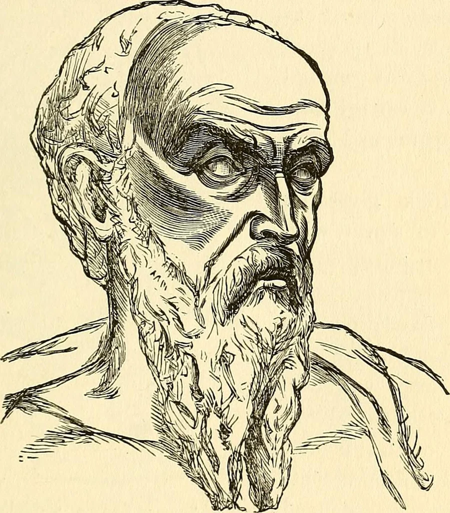 An illustration from Nature's revelations of character; or, physiognomy illustrated. A description of the mental, moral and volitive dispositions of mankind, as manifested in the human form and countenance, 1879, leaf 486