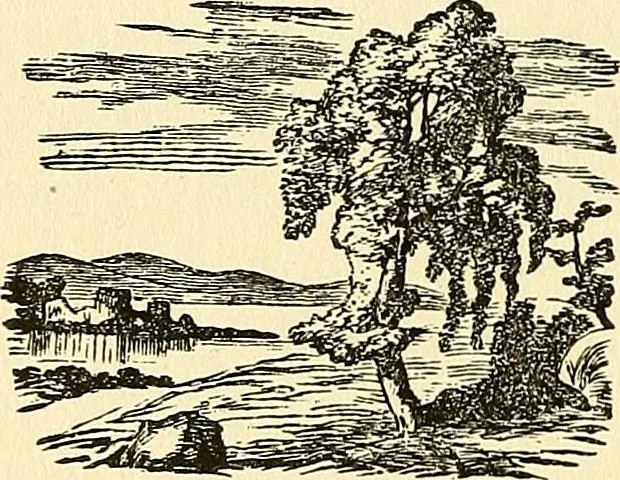 An illustration from Nature's revelations of character; or, physiognomy illustrated. A description of the mental, moral and volitive dispositions of mankind, as manifested in the human form and countenance, 1879, leaf 493