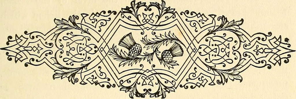 An illustration from Nature's revelations of character; or, physiognomy illustrated. A description of the mental, moral and volitive dispositions of mankind, as manifested in the human form and countenance, 1879, leaf 494