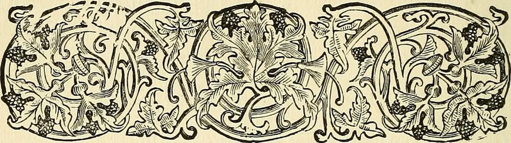 An illustration from Nature's revelations of character; or, physiognomy illustrated. A description of the mental, moral and volitive dispositions of mankind, as manifested in the human form and countenance, 1879, leaf 519