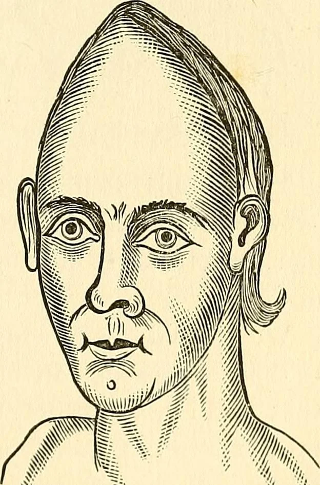 An illustration from Nature's revelations of character; or, physiognomy illustrated. A description of the mental, moral and volitive dispositions of mankind, as manifested in the human form and countenance, 1879, leaf 536