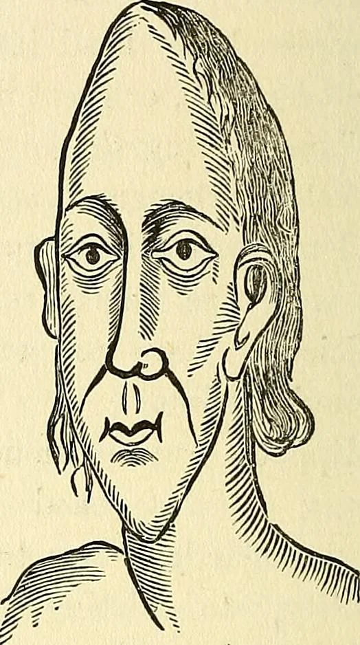 An illustration from Nature's revelations of character; or, physiognomy illustrated. A description of the mental, moral and volitive dispositions of mankind, as manifested in the human form and countenance, 1879, leaf 537