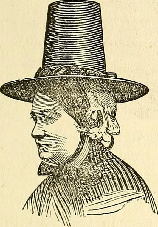An illustration from Nature's revelations of character; or, physiognomy illustrated. A description of the mental, moral and volitive dispositions of mankind, as manifested in the human form and countenance, 1879, leaf 538
