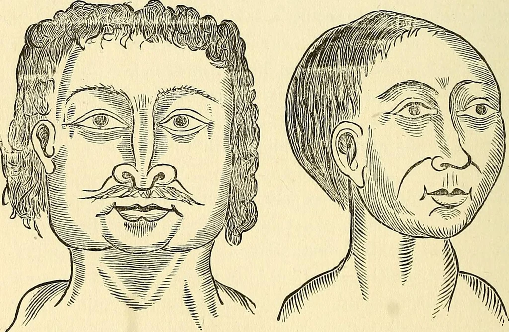 An illustration from Nature's revelations of character; or, physiognomy illustrated. A description of the mental, moral and volitive dispositions of mankind, as manifested in the human form and countenance, 1879, leaf 539