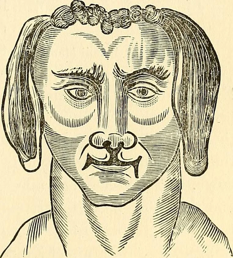 An illustration from Nature's revelations of character; or, physiognomy illustrated. A description of the mental, moral and volitive dispositions of mankind, as manifested in the human form and countenance, 1879, leaf 540