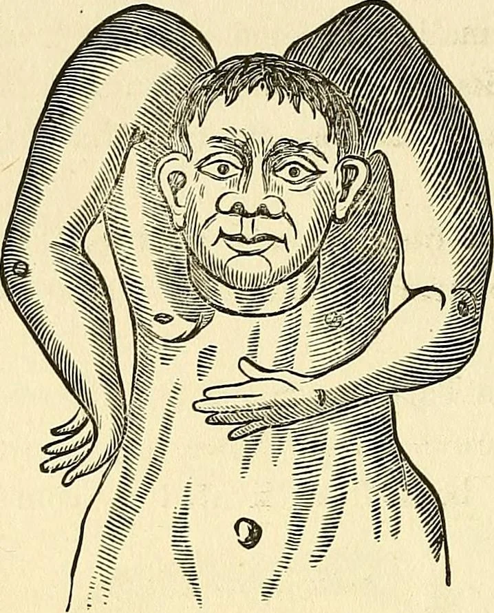 An illustration from Nature's revelations of character; or, physiognomy illustrated. A description of the mental, moral and volitive dispositions of mankind, as manifested in the human form and countenance, 1879, leaf 541