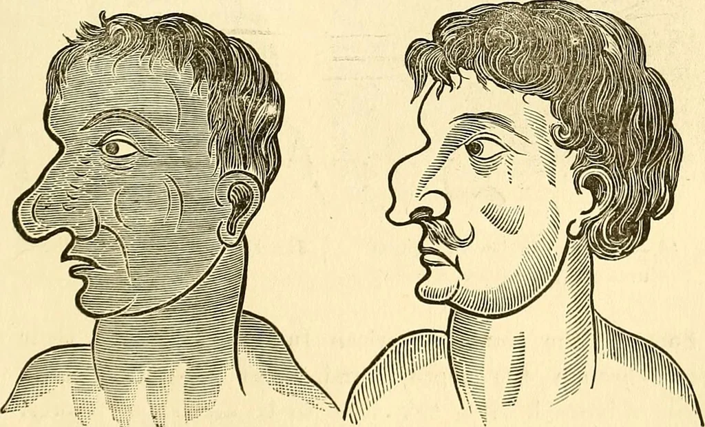 An illustration from Nature's revelations of character; or, physiognomy illustrated. A description of the mental, moral and volitive dispositions of mankind, as manifested in the human form and countenance, 1879, leaf 542
