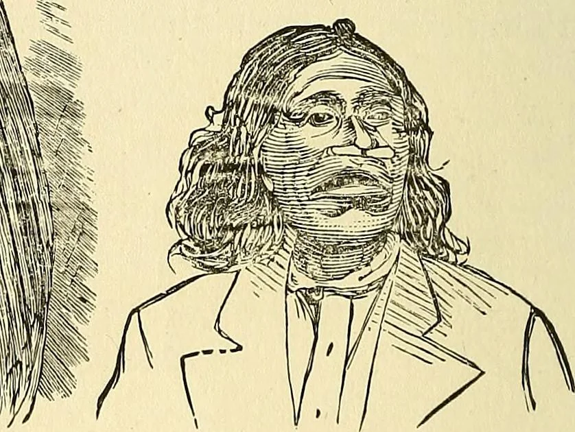 An illustration from Nature's revelations of character; or, physiognomy illustrated. A description of the mental, moral and volitive dispositions of mankind, as manifested in the human form and countenance, 1879, leaf 543
