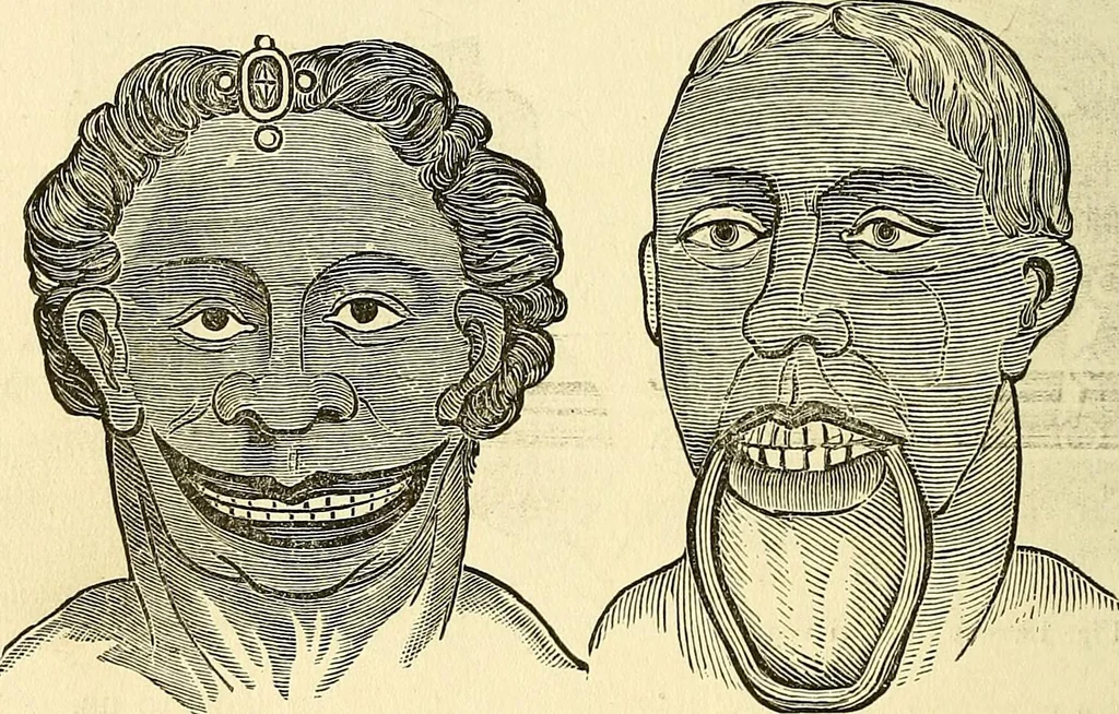 An illustration from Nature's revelations of character; or, physiognomy illustrated. A description of the mental, moral and volitive dispositions of mankind, as manifested in the human form and countenance, 1879, leaf 545