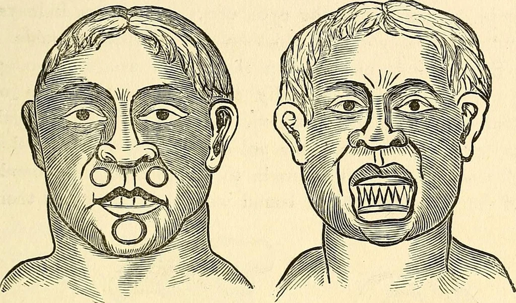 An illustration from Nature's revelations of character; or, physiognomy illustrated. A description of the mental, moral and volitive dispositions of mankind, as manifested in the human form and countenance, 1879, leaf 546