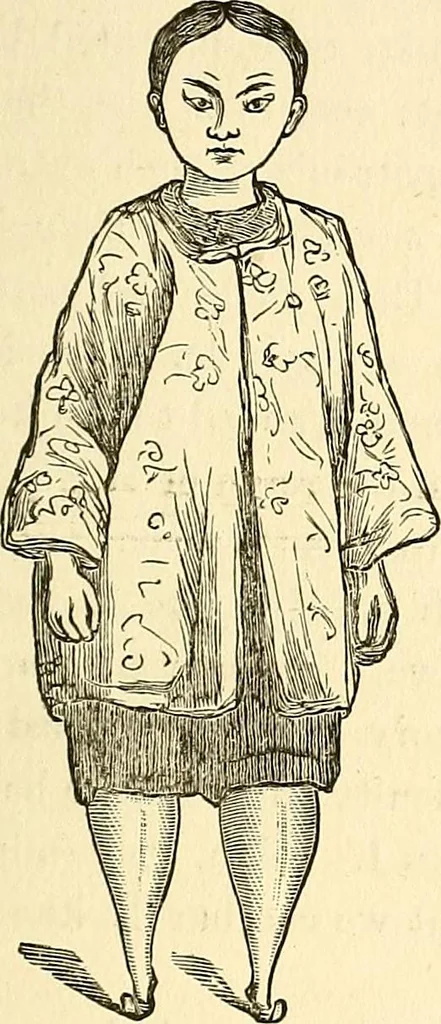 An illustration from Nature's revelations of character; or, physiognomy illustrated. A description of the mental, moral and volitive dispositions of mankind, as manifested in the human form and countenance, 1879, leaf 550