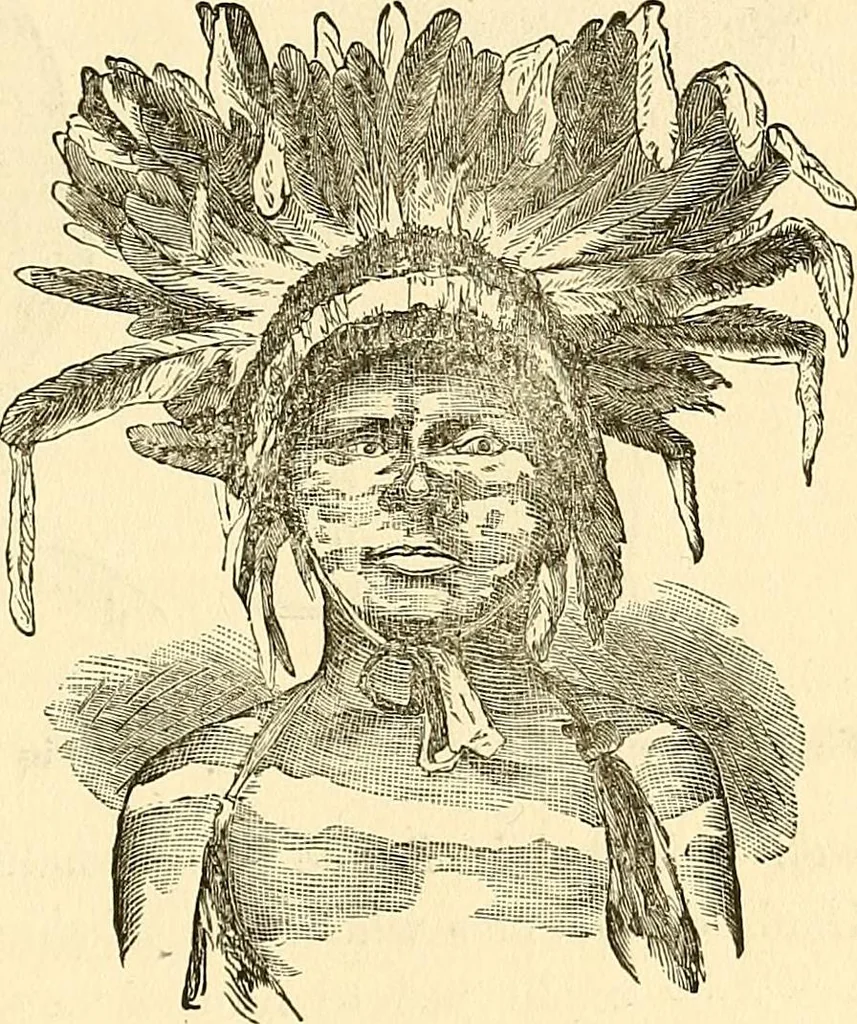 An illustration from Nature's revelations of character; or, physiognomy illustrated. A description of the mental, moral and volitive dispositions of mankind, as manifested in the human form and countenance, 1879, leaf 558