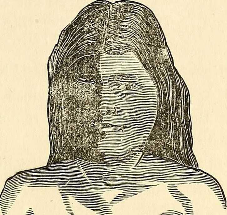 An illustration from Nature's revelations of character; or, physiognomy illustrated. A description of the mental, moral and volitive dispositions of mankind, as manifested in the human form and countenance, 1879, leaf 560