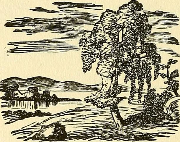 An illustration from Nature's revelations of character; or, physiognomy illustrated. A description of the mental, moral and volitive dispositions of mankind, as manifested in the human form and countenance, 1879, leaf 585