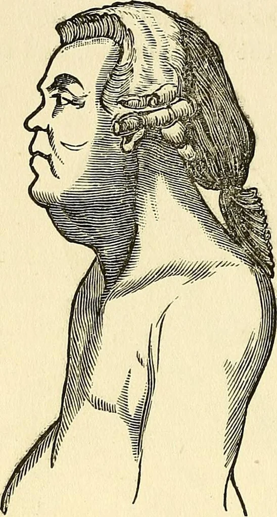 An illustration from Nature's revelations of character; or, physiognomy illustrated. A description of the mental, moral and volitive dispositions of mankind, as manifested in the human form and countenance, 1879, leaf 85