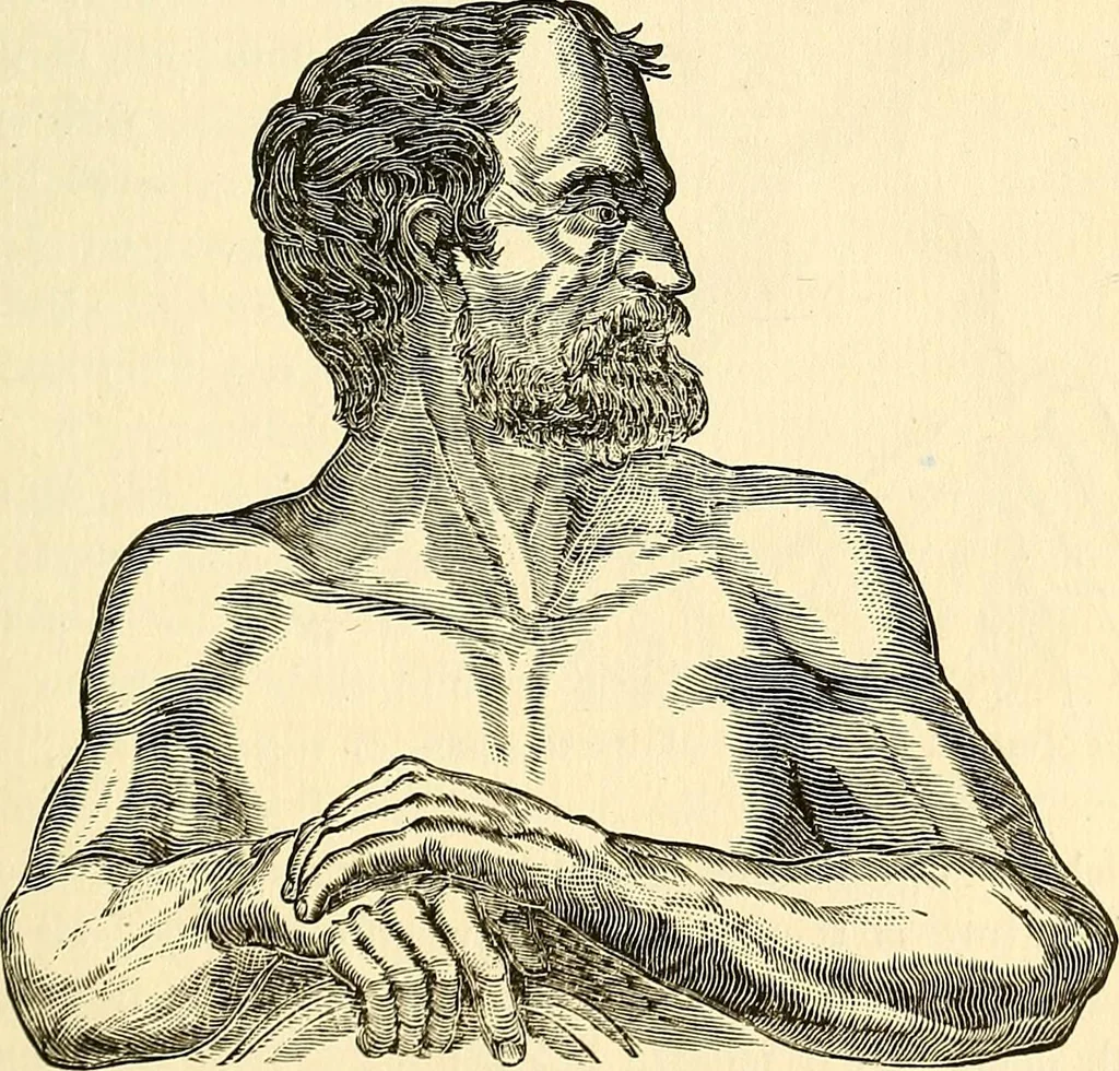 An illustration from Nature's revelations of character; or, physiognomy illustrated. A description of the mental, moral and volitive dispositions of mankind, as manifested in the human form and countenance, 1879, leaf 90