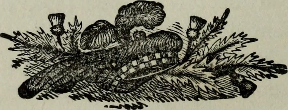 An illustration from Nature's revelations of character, or, Physiognomy illustrated : a description of the mental, moral and volitive dispositions of mankind, as manifested in the human form and countenance, 1887, leaf 103