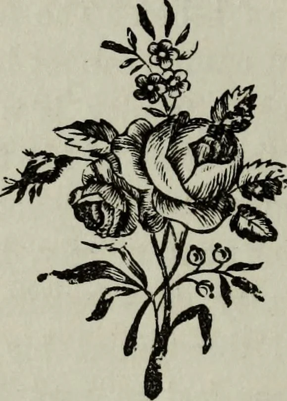 An illustration from Nature's revelations of character, or, Physiognomy illustrated : a description of the mental, moral and volitive dispositions of mankind, as manifested in the human form and countenance, 1887, leaf 131