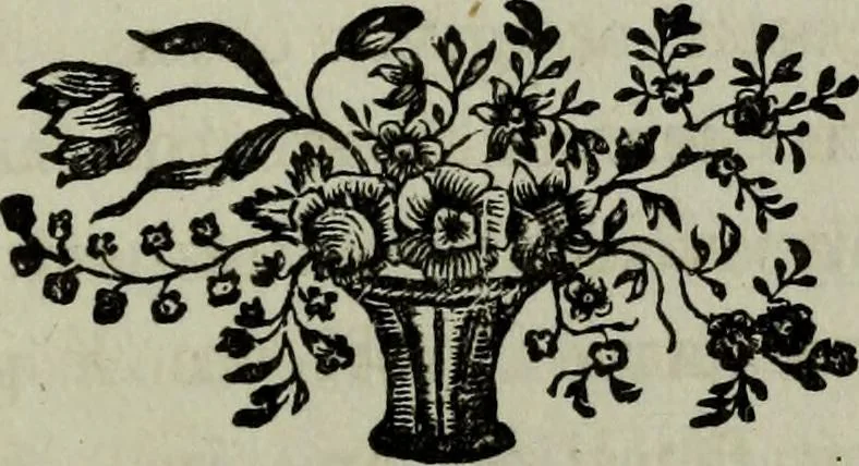An illustration from Nature's revelations of character, or, Physiognomy illustrated : a description of the mental, moral and volitive dispositions of mankind, as manifested in the human form and countenance, 1887, leaf 138