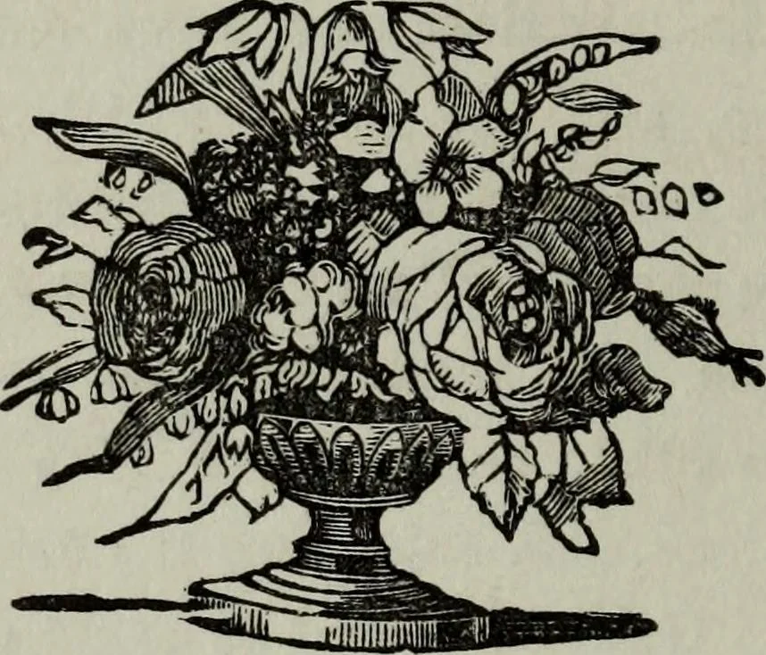 An illustration from Nature's revelations of character, or, Physiognomy illustrated : a description of the mental, moral and volitive dispositions of mankind, as manifested in the human form and countenance, 1887, leaf 151