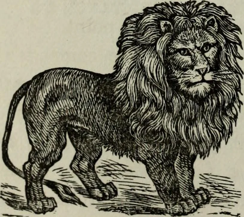 An illustration from Nature's revelations of character, or, Physiognomy illustrated : a description of the mental, moral and volitive dispositions of mankind, as manifested in the human form and countenance, 1887, leaf 177