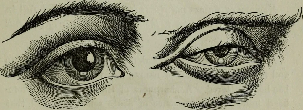 An illustration from Nature's revelations of character, or, Physiognomy illustrated : a description of the mental, moral and volitive dispositions of mankind, as manifested in the human form and countenance, 1887, leaf 192