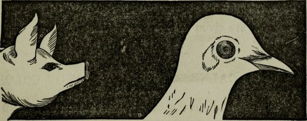 An illustration from Nature's revelations of character, or, Physiognomy illustrated : a description of the mental, moral and volitive dispositions of mankind, as manifested in the human form and countenance, 1887, leaf 192
