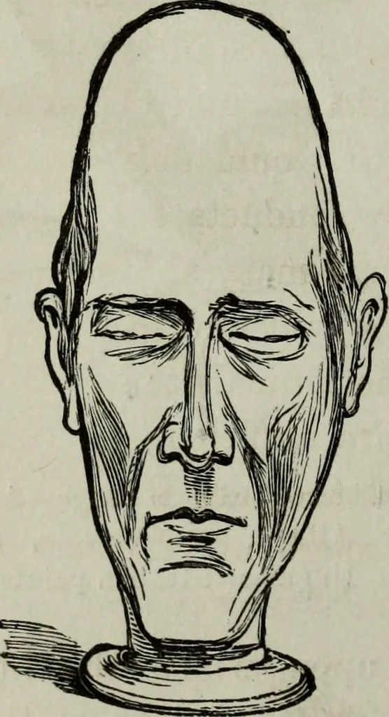 An illustration from Nature's revelations of character, or, Physiognomy illustrated : a description of the mental, moral and volitive dispositions of mankind, as manifested in the human form and countenance, 1887, leaf 195