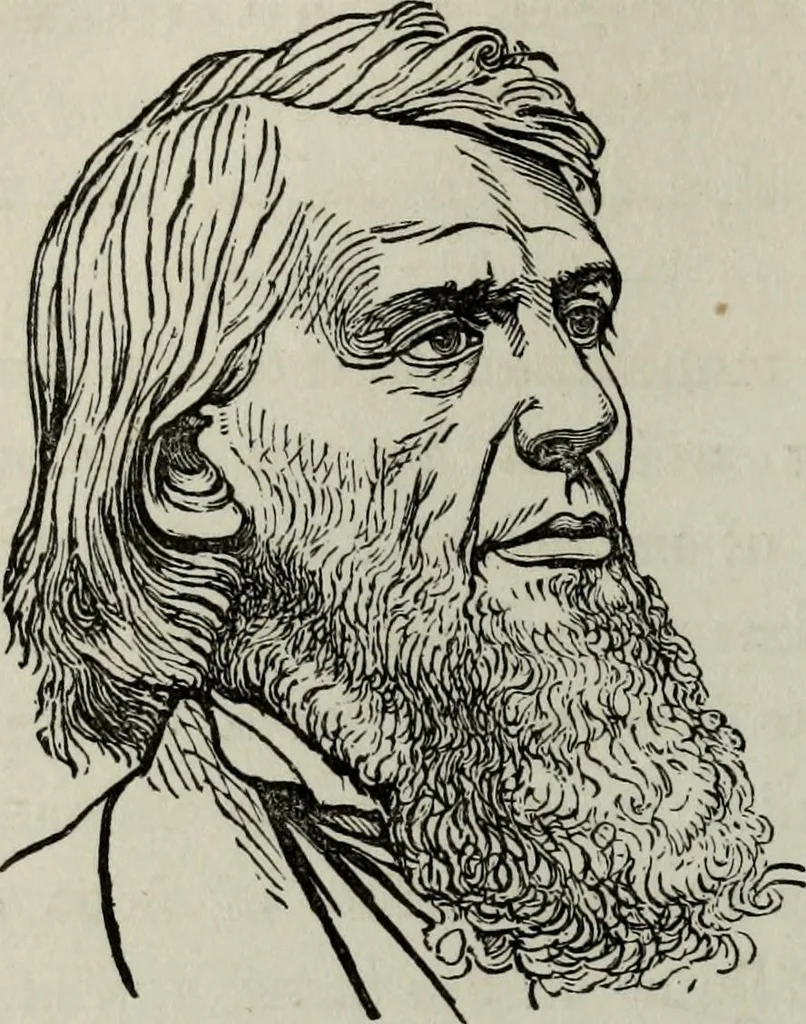 An illustration from Nature's revelations of character, or, Physiognomy illustrated : a description of the mental, moral and volitive dispositions of mankind, as manifested in the human form and countenance, 1887, leaf 199