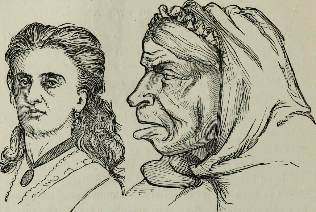An illustration from Nature's revelations of character, or, Physiognomy illustrated : a description of the mental, moral and volitive dispositions of mankind, as manifested in the human form and countenance, 1887, leaf 203