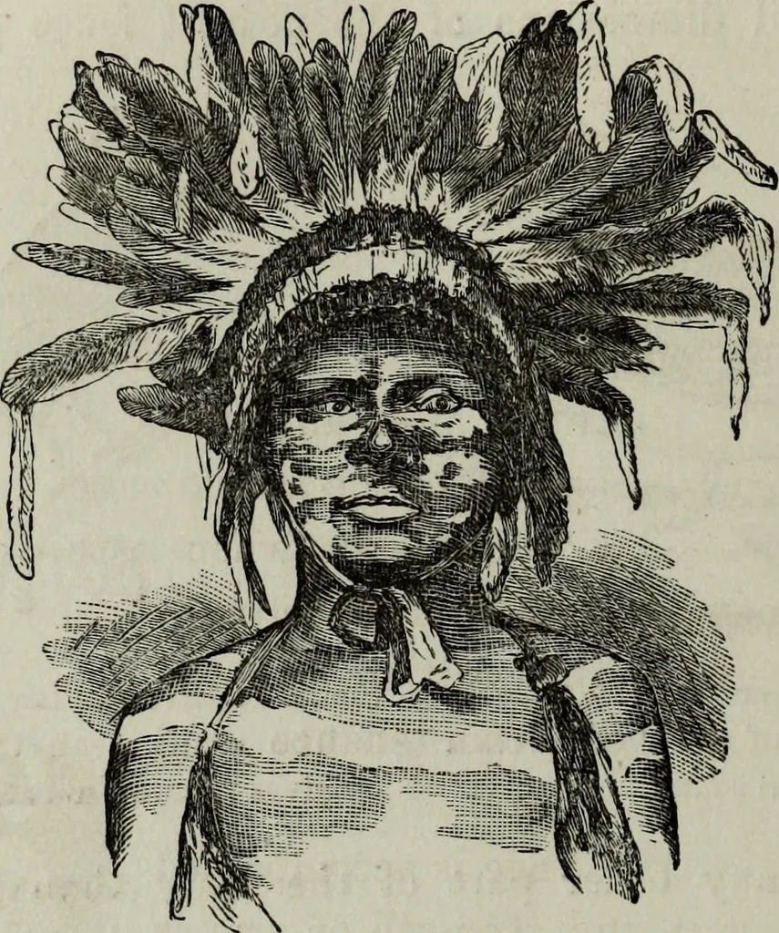 An illustration from Nature's revelations of character, or, Physiognomy illustrated : a description of the mental, moral and volitive dispositions of mankind, as manifested in the human form and countenance, 1887, leaf 207