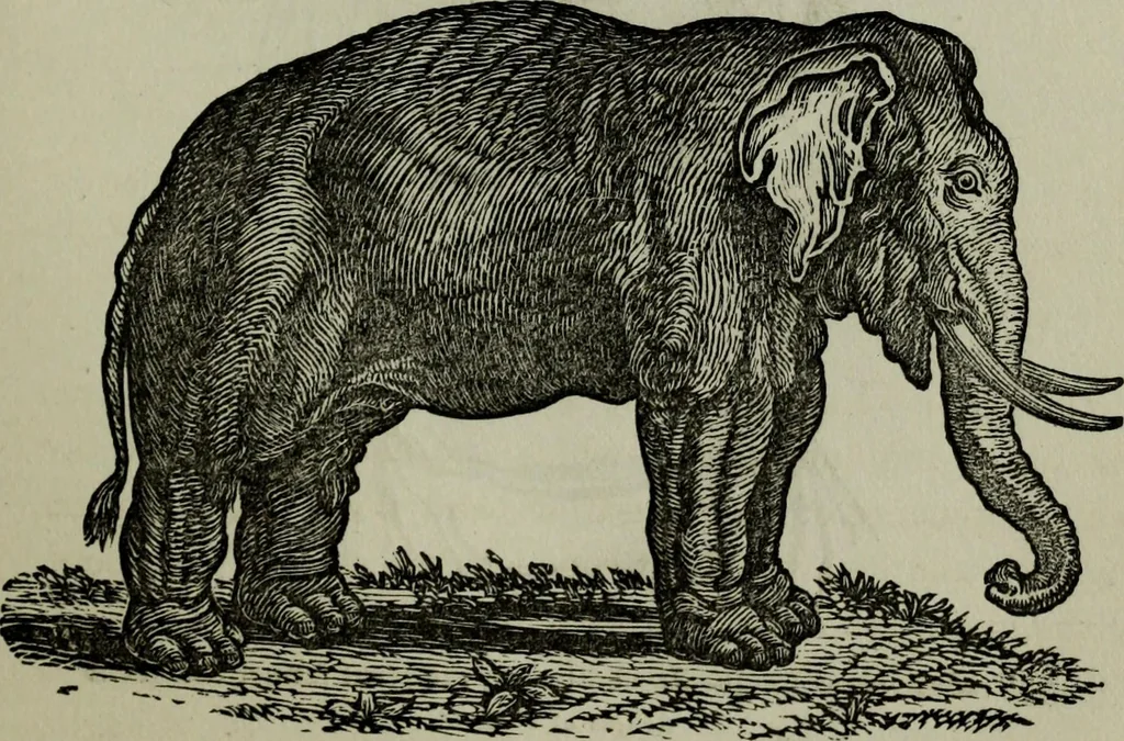 An illustration from Nature's revelations of character, or, Physiognomy illustrated : a description of the mental, moral and volitive dispositions of mankind, as manifested in the human form and countenance, 1887, leaf 210