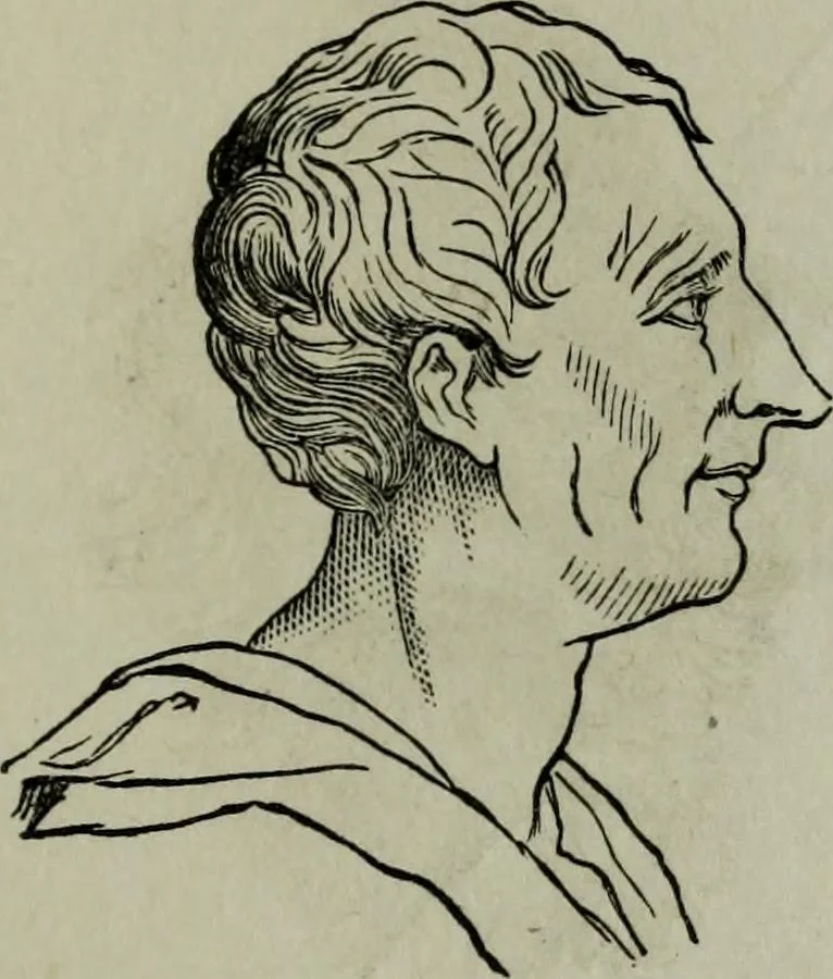 An illustration from Nature's revelations of character, or, Physiognomy illustrated : a description of the mental, moral and volitive dispositions of mankind, as manifested in the human form and countenance, 1887, leaf 220