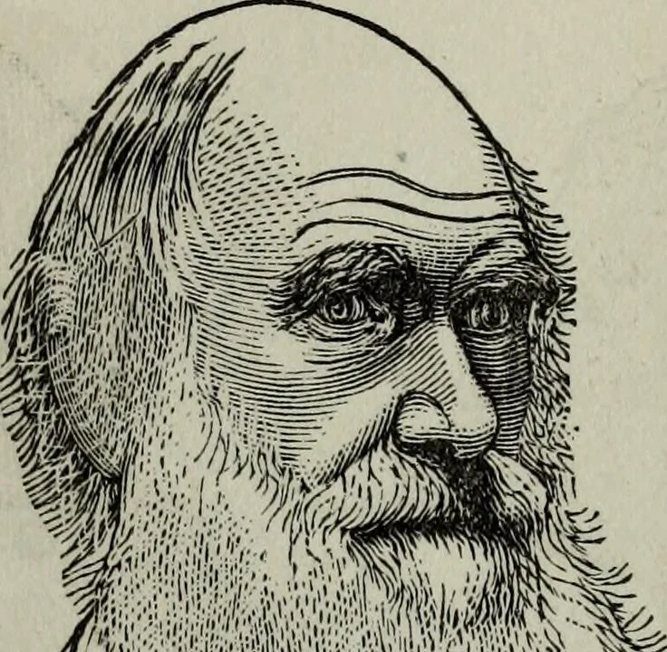An illustration from Nature's revelations of character, or, Physiognomy illustrated : a description of the mental, moral and volitive dispositions of mankind, as manifested in the human form and countenance, 1887, leaf 221