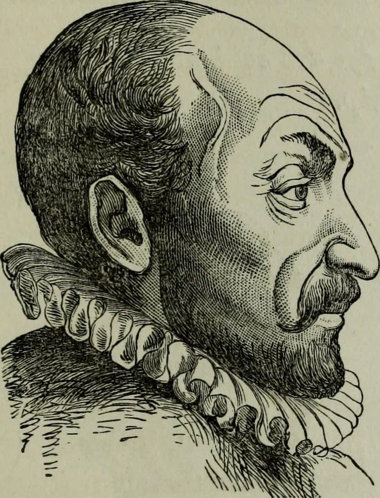 An illustration from Nature's revelations of character, or, Physiognomy illustrated : a description of the mental, moral and volitive dispositions of mankind, as manifested in the human form and countenance, 1887, leaf 228