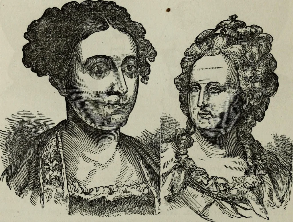 An illustration from Nature's revelations of character, or, Physiognomy illustrated : a description of the mental, moral and volitive dispositions of mankind, as manifested in the human form and countenance, 1887, leaf 229