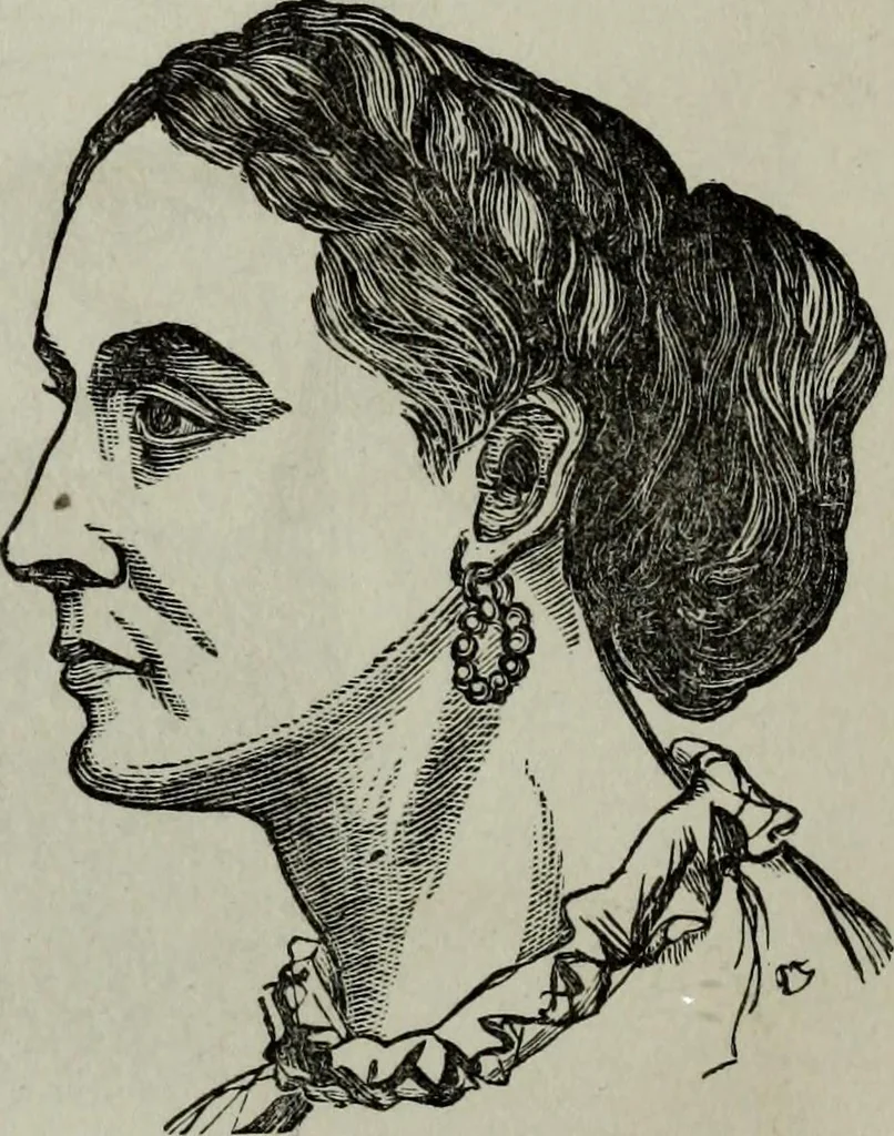 An illustration from Nature's revelations of character, or, Physiognomy illustrated : a description of the mental, moral and volitive dispositions of mankind, as manifested in the human form and countenance, 1887, leaf 233