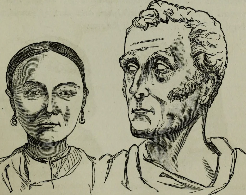 An illustration from Nature's revelations of character, or, Physiognomy illustrated : a description of the mental, moral and volitive dispositions of mankind, as manifested in the human form and countenance, 1887, leaf 234