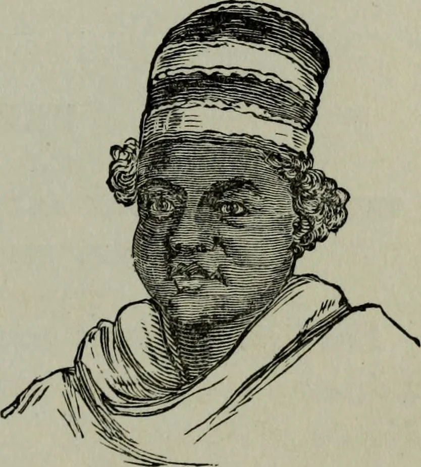 An illustration from Nature's revelations of character, or, Physiognomy illustrated : a description of the mental, moral and volitive dispositions of mankind, as manifested in the human form and countenance, 1887, leaf 238