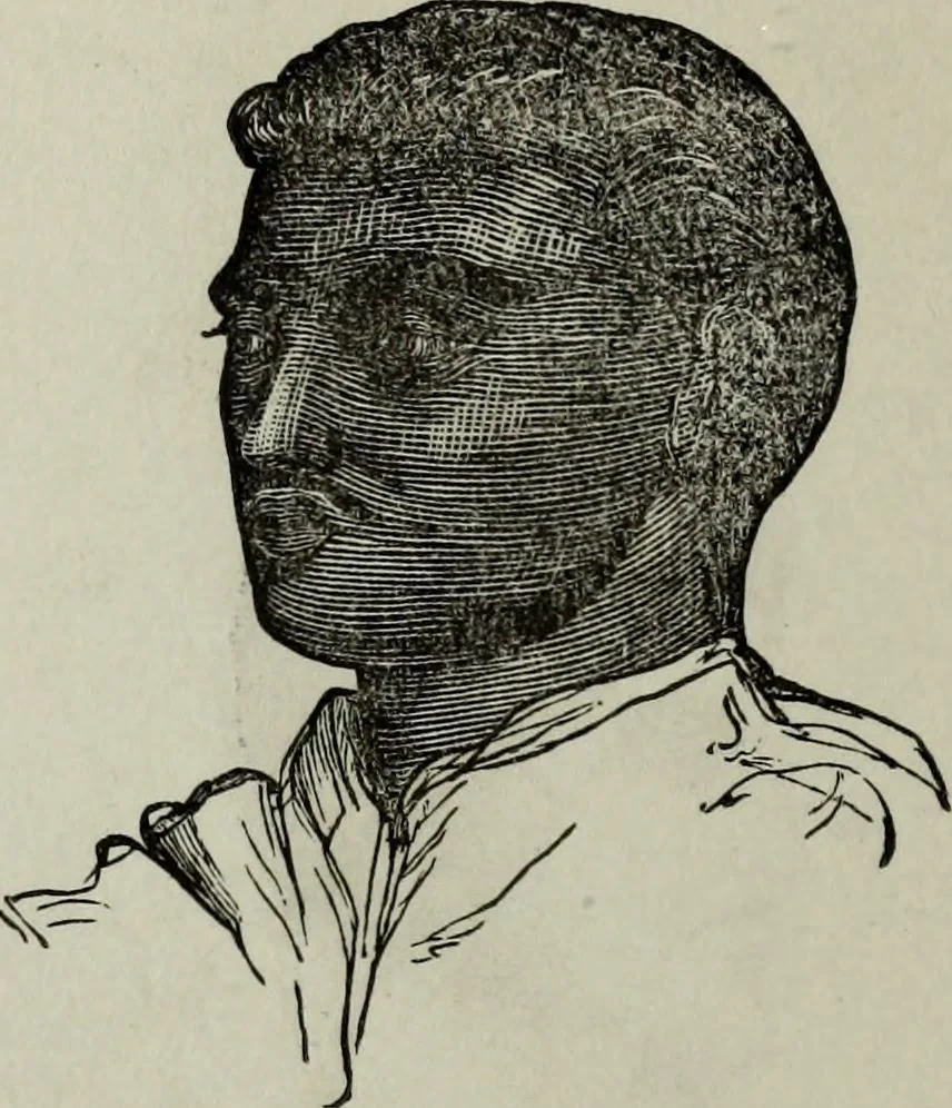 An illustration from Nature's revelations of character, or, Physiognomy illustrated : a description of the mental, moral and volitive dispositions of mankind, as manifested in the human form and countenance, 1887, leaf 267