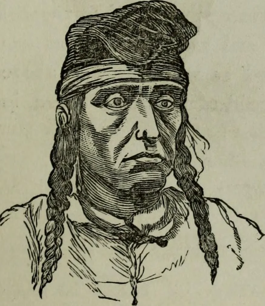 An illustration from Nature's revelations of character, or, Physiognomy illustrated : a description of the mental, moral and volitive dispositions of mankind, as manifested in the human form and countenance, 1887, leaf 272
