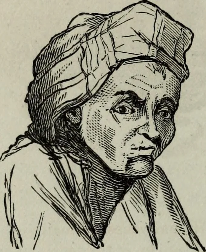 An illustration from Nature's revelations of character, or, Physiognomy illustrated : a description of the mental, moral and volitive dispositions of mankind, as manifested in the human form and countenance, 1887, leaf 273