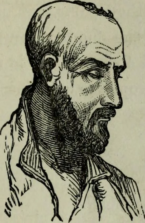An illustration from Nature's revelations of character, or, Physiognomy illustrated : a description of the mental, moral and volitive dispositions of mankind, as manifested in the human form and countenance, 1887, leaf 274