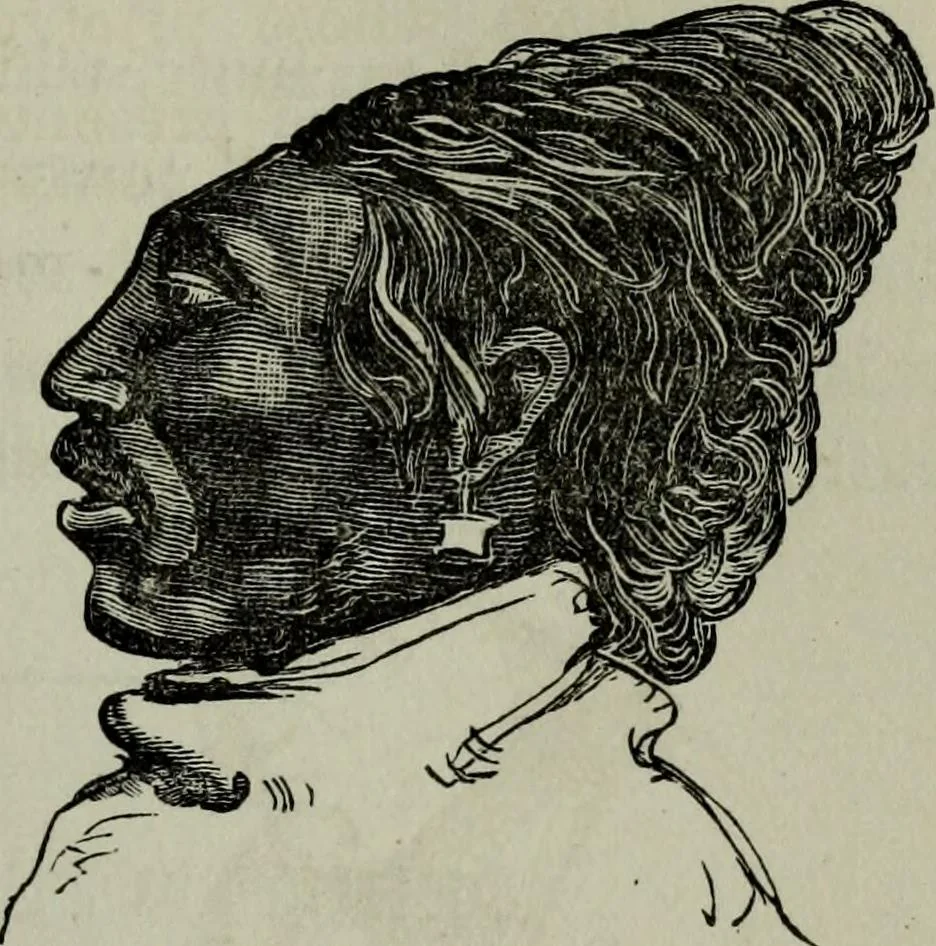 An illustration from Nature's revelations of character, or, Physiognomy illustrated : a description of the mental, moral and volitive dispositions of mankind, as manifested in the human form and countenance, 1887, leaf 274