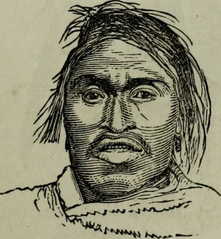 An illustration from Nature's revelations of character, or, Physiognomy illustrated : a description of the mental, moral and volitive dispositions of mankind, as manifested in the human form and countenance, 1887, leaf 278